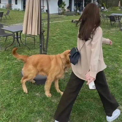 老婆结婚了